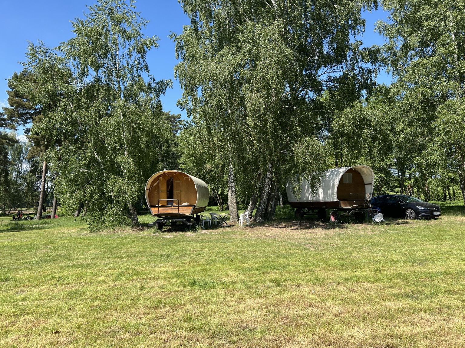 Planwagen auf der Wiese