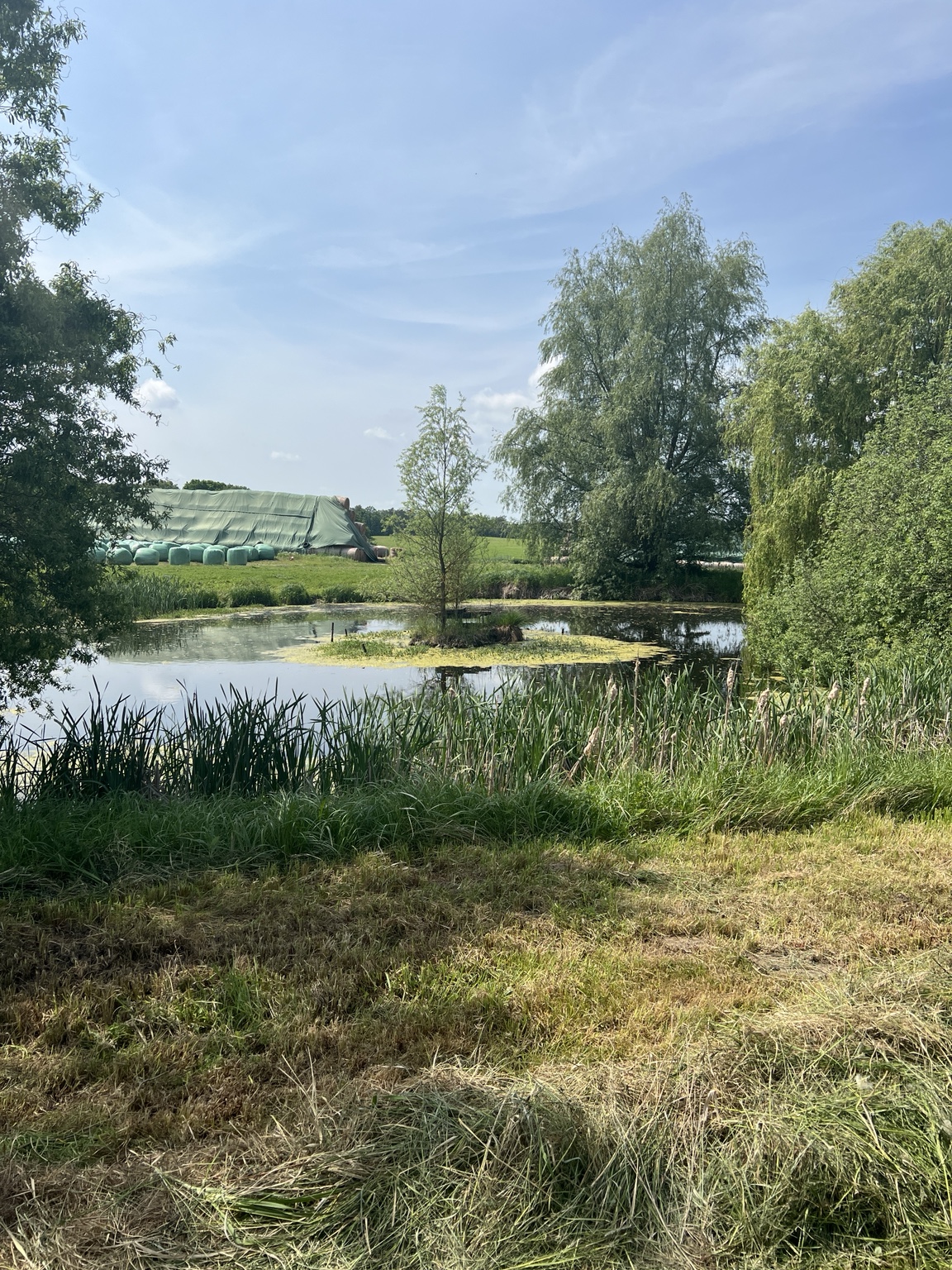 Teich auf dem Gelände